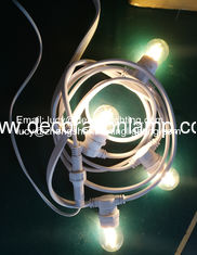 China led festoon lights supplier