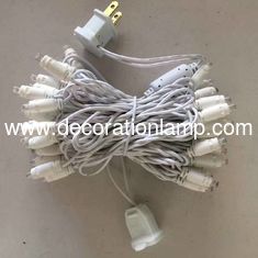 China 50 led 5mm string mini lights supplier