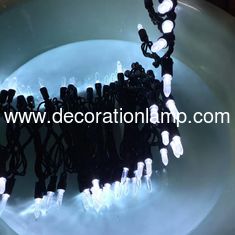 China M5 led christmas lights cool white supplier