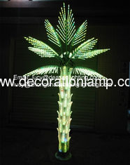 palmier lumineux