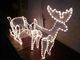 outdoor lighted christmas reindeer supplier