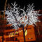 outdoor led tree lights supplier