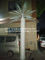 led palm tree outdoor supplier