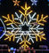 led big snowflake light supplier