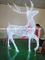 Led Christmas reindeer outdoor decoration supplier