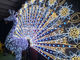 large outdoor peacock christmas decorations supplier